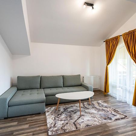Apartament Cetate View Рышнов Экстерьер фото