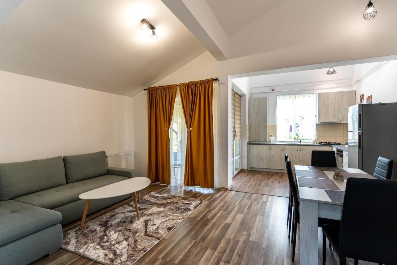 Apartament Cetate View Рышнов Экстерьер фото